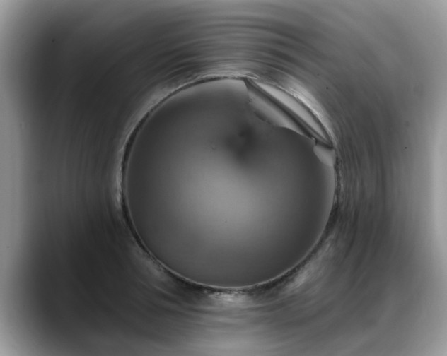X0000088750994200706071717