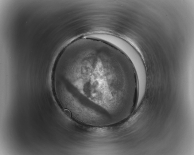 X0000088750995200706071717