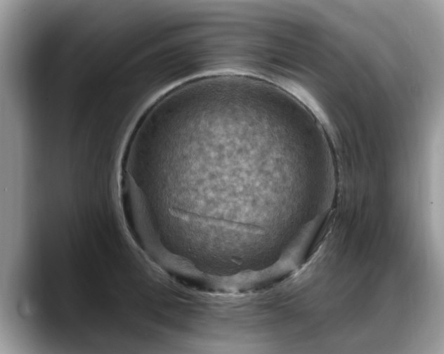 X0000088750996200706071717
