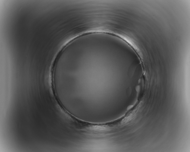 X0000088750998200706071716