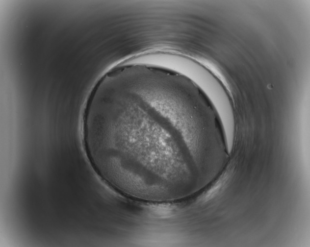 X0000088750999200706071716