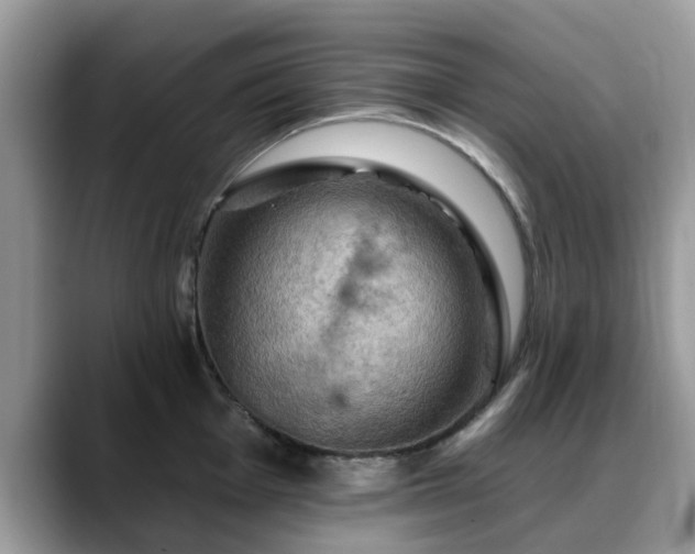 X0000088751001200706071716