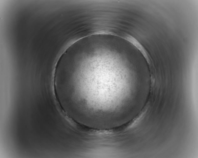 X0000088751002200706071716
