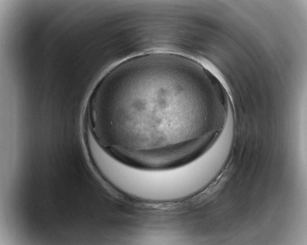 X0000088751005200706071716