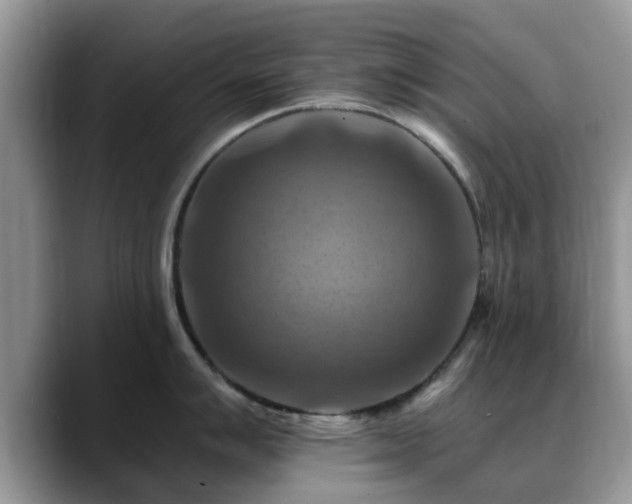 X0000088751007200706071716