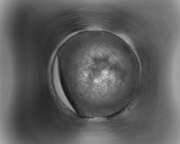 X0000088751008200706071716