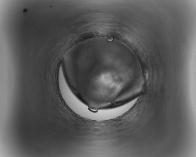 X0000088751009200706071716