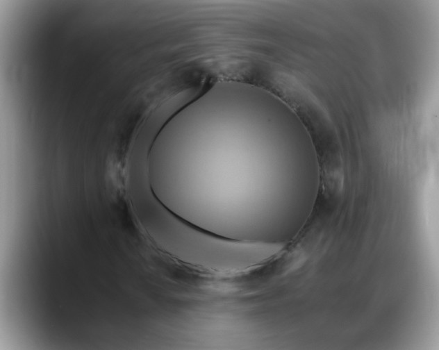 X0000088751010200706071716