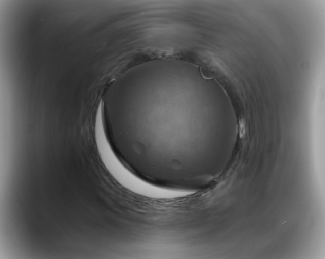 X0000088751011200706071716