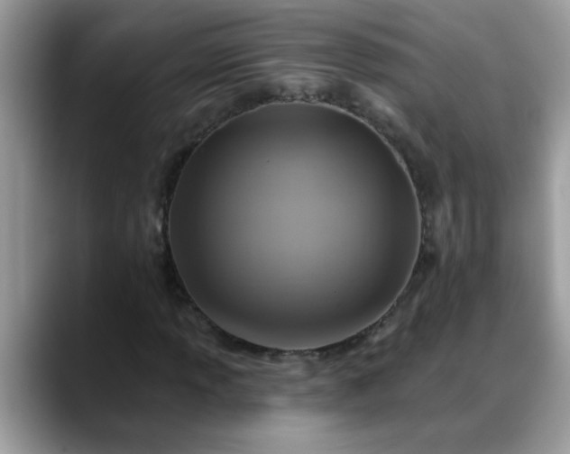 X0000088751013200706071716