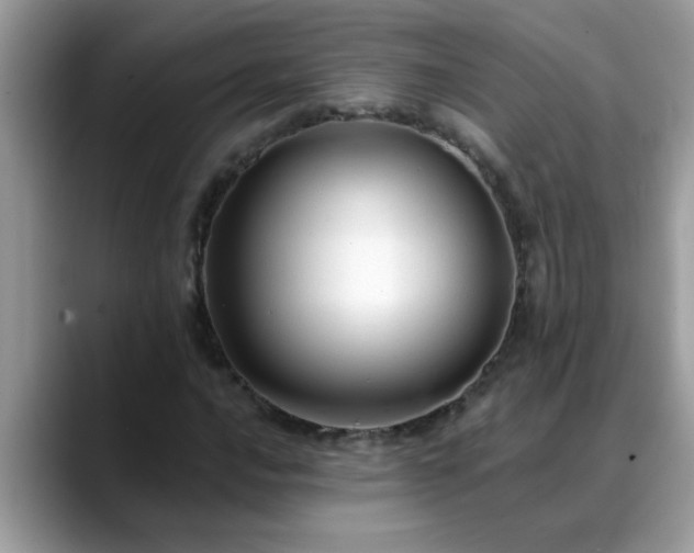 X0000088751016200706071716