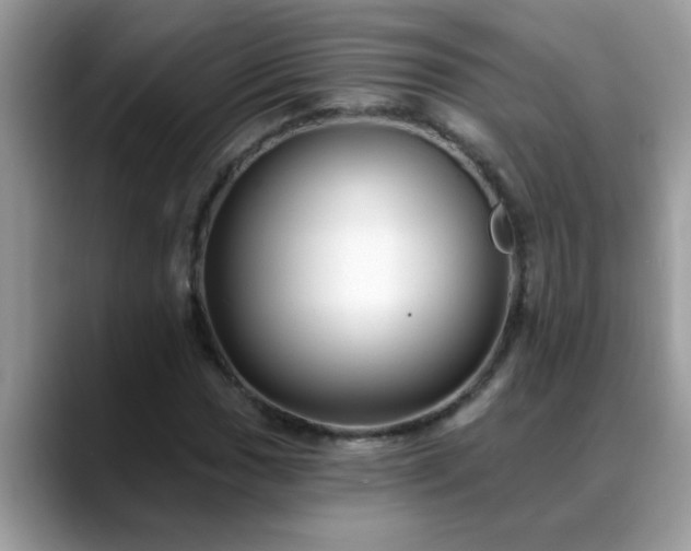 X0000088751017200706071716