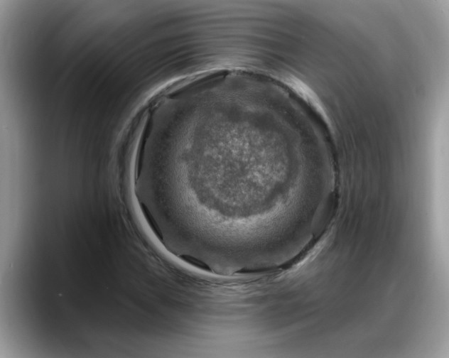 X0000088751019200706071716