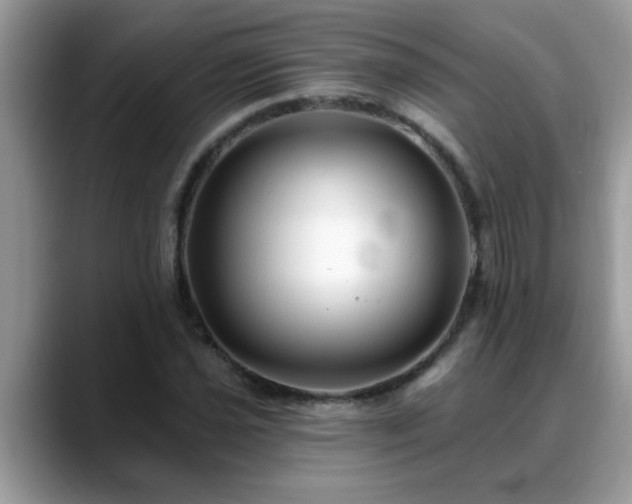 X0000088751021200706071716