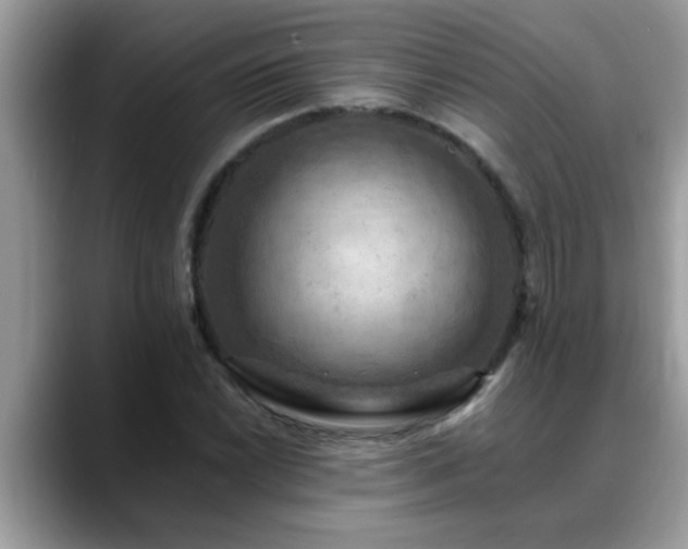 X0000088751022200706071716