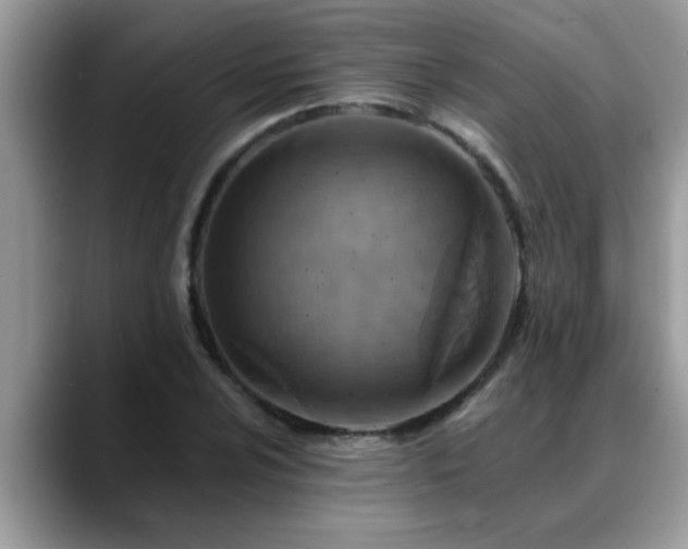X0000088751024200706071716