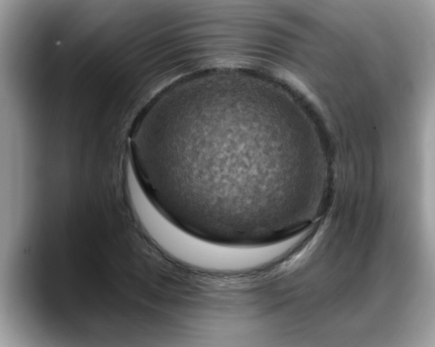 X0000088751025200706071716