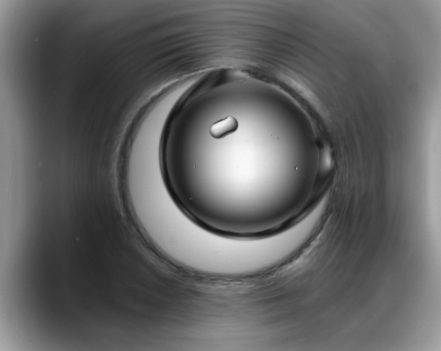 X0000088751026200706071716