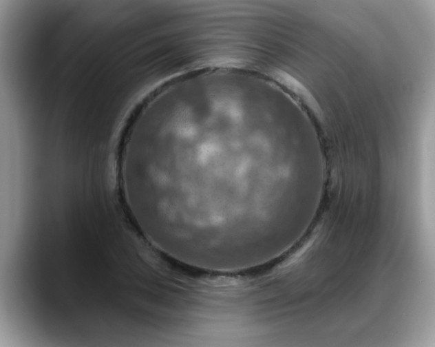 X0000088751027200706071716