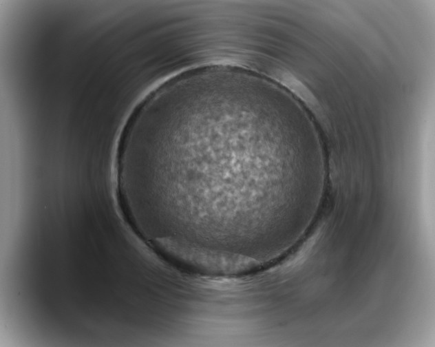 X0000088751028200706071716