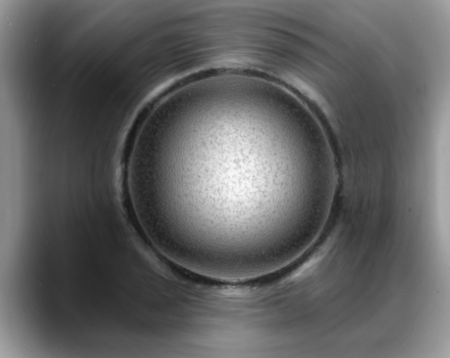 X0000088751029200706071716