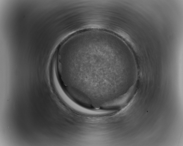 X0000088751030200706071716