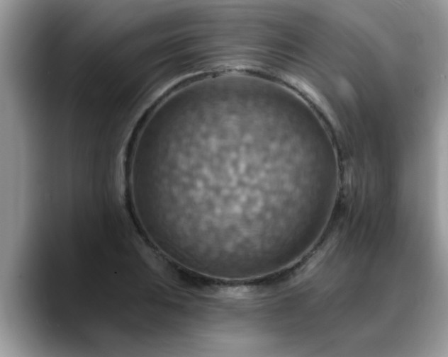 X0000088751031200706071716