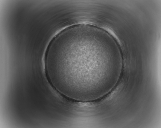 X0000088751032200706071716