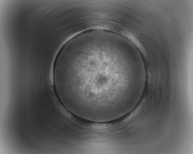 X0000088751036200706071716