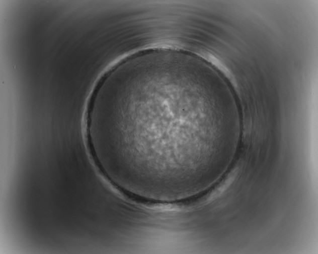 X0000088751037200706071716