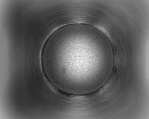 X0000088751039200706071716