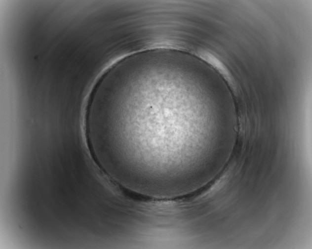 X0000088751043200706071716