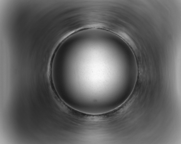X0000088751044200706071716