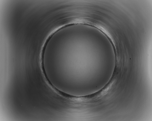 X0000088751045200706071716