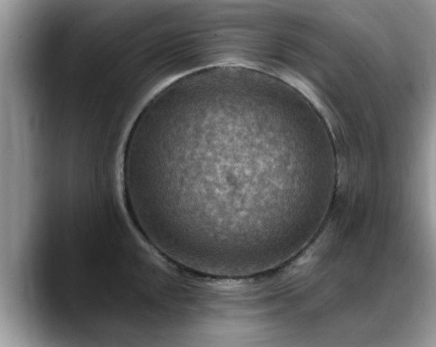 X0000088751048200706071716