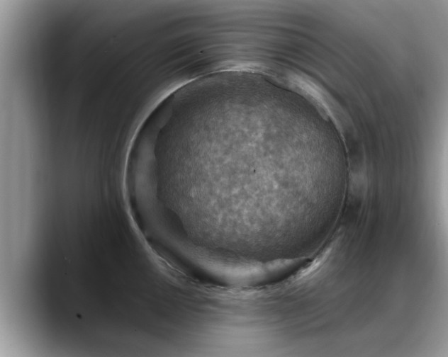 X0000088751050200706071716