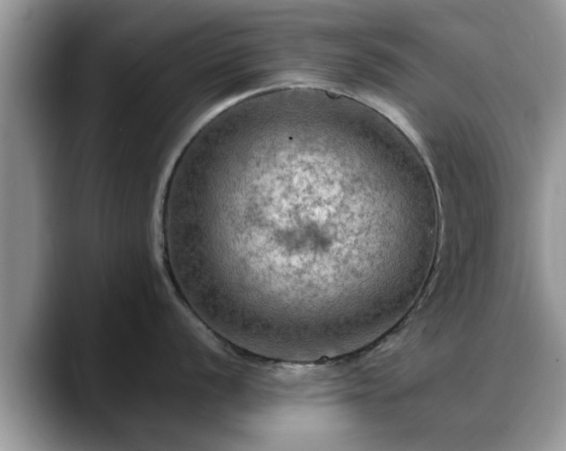 X0000088751056200706071716