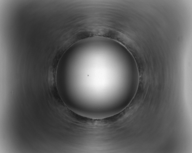 X0000088751058200706071716
