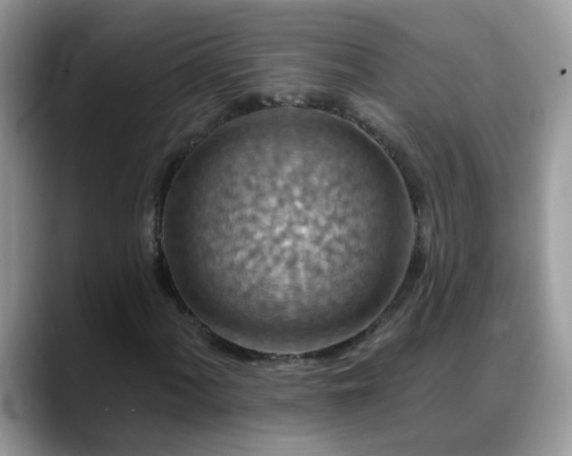 X0000088751060200706071716