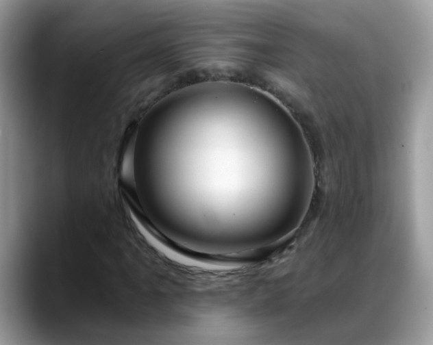 X0000088751061200706071716