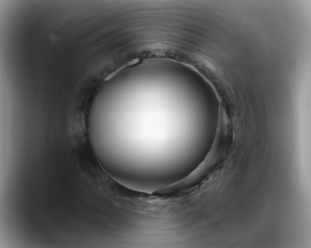 X0000088751062200706071716
