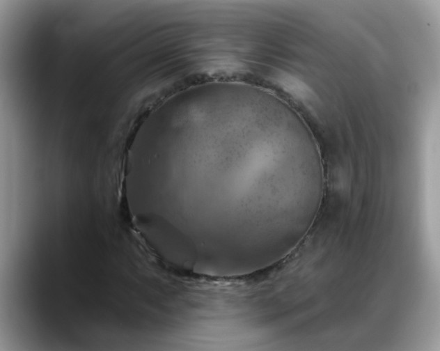 X0000088751063200706071716