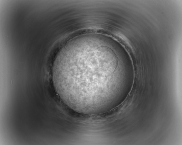 X0000088751064200706071716