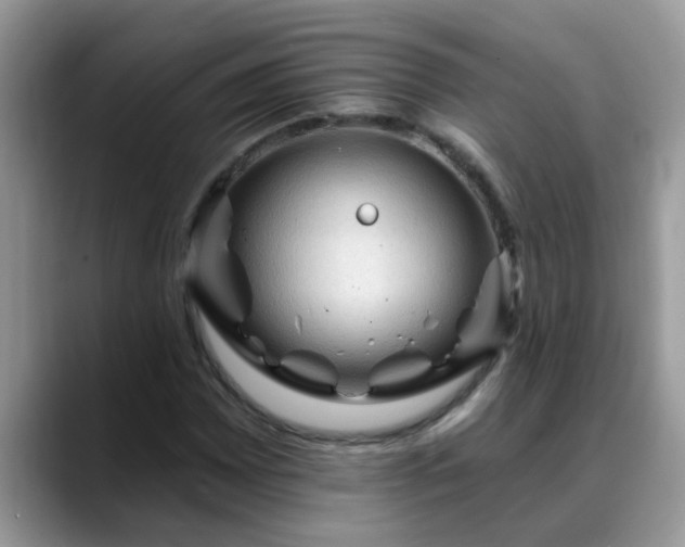 X0000088751065200706071716