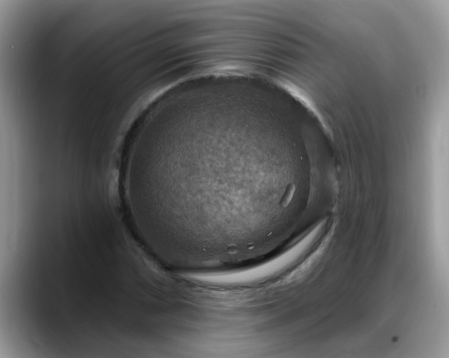 X0000088751066200706071716