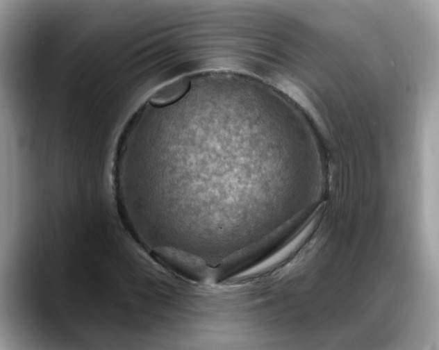 X0000088751068200706071716