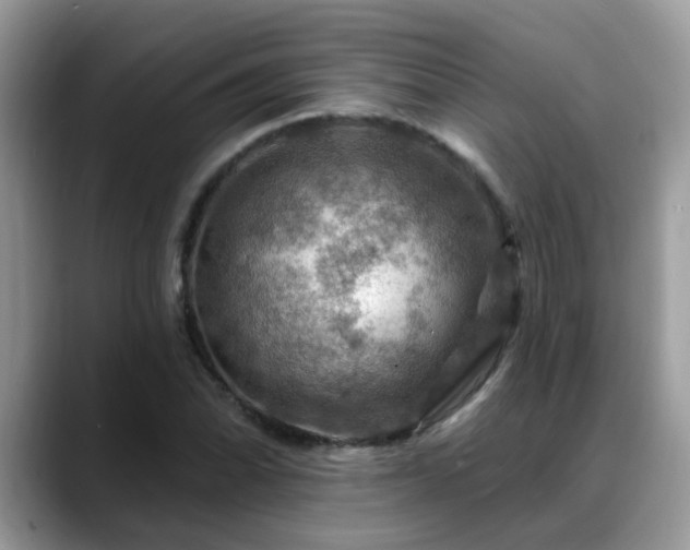 X0000088751070200706071716
