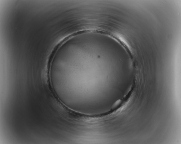 X0000088751071200706071716