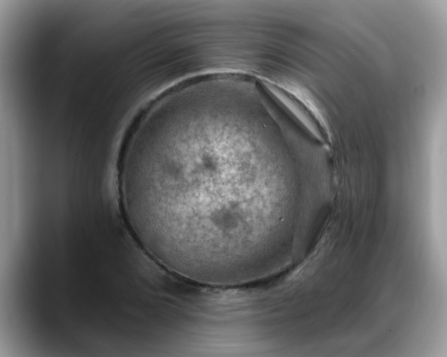 X0000088751072200706071716