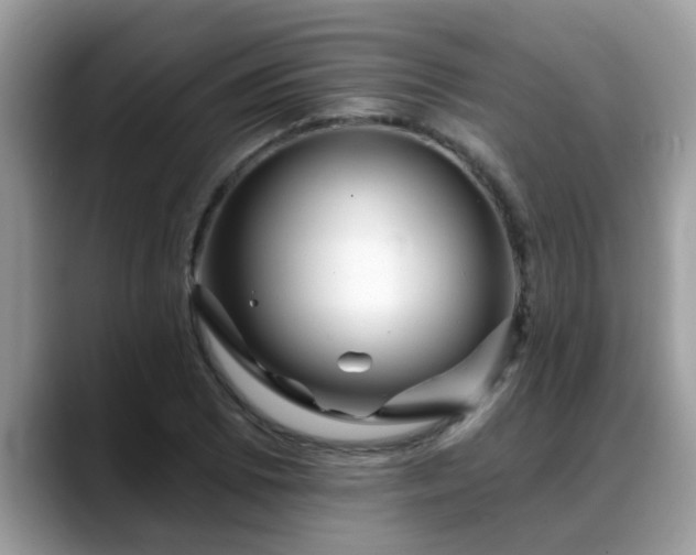X0000088751073200706071716